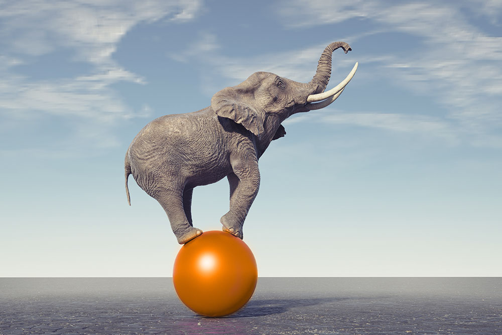Agility